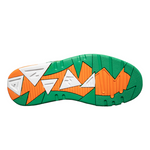Ewing Focus St Patrick’s Day