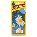 Little Trees